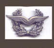 INSIGNE MILITAIRE ALLEMAGNE - Altri & Non Classificati