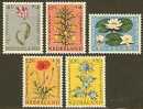 NEDERLAND 1960 OMP Zegel(s) Zomer 746-750 #675 - Ungebraucht