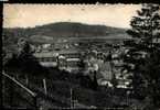 2611 - Andenne  Pano ( Partie Sud ) - Andenne