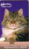 HONGRIE SUPERBE CHAT MAINE COON RARE - Cats