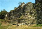 BAVAY  59570    -   Site Archéologique, Le Mur Sud Et L'Enceinte Antique   (carte Des Années 80) - Bavay