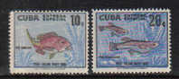 MA178 - CUBA , PESCI  : ESPRESSI  N. 24/25 *** - Sellos De Urgencia