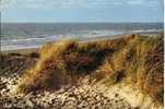 Cabourg - Les Vagues Arrivent Dans Un Invisible Lointain... (Monsabré) - Cabourg