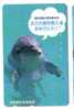 Japone Undersea - Dolphin - Delphin - Delfin - Dauphin - Delfino - Dauphine - Dauphins - Dolphins - Japan - Poissons