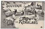 CPA---61----Remalard ----SOUVENIR---MULTIVUE - Remalard