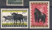 Ruanda Urundi - Animaux - Unused Stamps