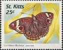 BUTTERFLIES, St.Kitts 1997, 25c, Sheet:50 Stamps  //Ganze Bogen - St.Kitts En Nevis ( 1983-...)