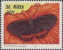 BUTTERFLIES, St.Kitts 1997, 30c, Sheet:50 Stamps BULK:x5 (250 Stamps)  //Ganze Bogen (cat.val. € 36,54) - St.Kitts And Nevis ( 1983-...)