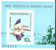 ROMANIA,WWF, Mint Stamps BLOCK With Bird PELECANUS 1980,MHN,OG. - Pelícanos