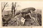 Dolmen Et Menhirs - Ref No  16- Camp De Coetquidan-morbihan -dolmen De Rotherman- Bon Etat - Dolmen & Menhire