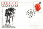 1990 CHINA JP27 100 ANNI OF EUCALYPTS TO CHINA P-CARD - Postales