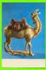 CHINA -THREE-COLOUR GLAZED CAMEL  - CARD NEVER BEEN USE - - Kunstgegenstände