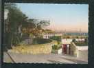 CPSM - Juan Les Pins - Promenade Du Soleil Et Terrasses Fleuries . Au Fond Le Cap D'Antibes (La Cigogne 1851) - Cap D'Antibes - La Garoupe