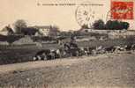 37 METTRAY (envs Luynes) Colonie, Ferme D´Avantigny, Animée, Troupeau De Vaches, Ed IPM 5, 1913 - Luynes