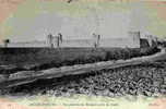 24.- Aigues-Mortes - Vue Générale Des Remparts Prise Au Levant - Aigues-Mortes