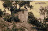 Lunel - Ruines Du Moulin De Vendran - Lunel