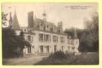 41/  COUR CHEVERNY / CHATEAU DE TOURELLES - Contres