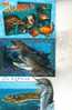 3 X Dolphin Postcard - 3 Carte De Dauphin - Delfines