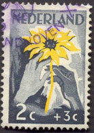 Pays : 384,02 (Pays-Bas : Juliana)  Yvert Et Tellier N° :   509 (o) - Used Stamps