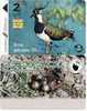 Latvia. 2000. Lapwing - Bird Of The Year 2000 - Lettonia