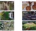 Ecology - Environment - Ecologie - Environnement - Okologie - Enviroment - Ekology (car,auto) Compl. Set Of 6.cards - Brazilië