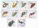 ROMANIA 1964,  REPTILES DIVERS  USED   FULL SET YVERT#2100-2019 - Serpents