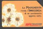 ITALY - C&C CATALOGUE - F3166 - FLOWER - ALTO ADIGE - Public Themes