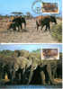 ANIMAUX FDC SERIE WWF 4 CARTES MAXIMUM DE 4 TIMBRES DIFFERENTS ELEPHANTS OUGANDA  FOND MONDIAL POUR LA NATURE - Olifanten