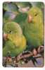 PARROTS - Brazil Old Rare Card * Parrot Perroquet Papagei Papageien Perroquets Pappagallo Papagaio Loro Pappagalli Loros - Brazilië