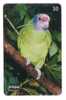 PARROT ( Brasil ) ***  Perroquet - Papagei - Papagayo - Loro - Pappagallo - Ara - Parrots - Perroquets - Papageien * - Loros