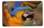 PARROTS - Brazil Old Rare Card * Parrot Perroquet Papagei Papageien Perroquets Pappagallo Papagaio Loro Pappagalli Loros - Brasilien