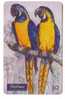 PARROTS - Brazil Old Rare Card * Parrot Perroquet Papagei Papageien Perroquets Pappagallo Papagaio Loro Pappagalli Loros - Brasilien
