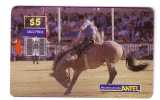 Uruguay - Horse - Caballo - Cheval - Cavallo - Chevals - Pferd - Horses - Chevales - RODEO - Uruguay