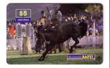 Uruguay - Horse - Caballo - Cheval - Cavallo - Chevals - Pferd - Horses - Chevales - RODEO - Uruguay