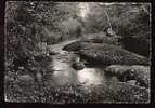 Jolie CP Ciselée Finistère 29 Huelgoat La Rivière D'Argent Dans La Lumière Du Sous-bois - A Circulée CAD 1957 Huelgoat - Huelgoat