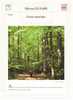 Fiche De Lecture Sur "Forêt Interdite", De Mircea Eliade - Didactische Kaarten
