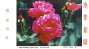 Chine :Entier Publicitaire Tombola, Rose Rouge, Flore, - Roses