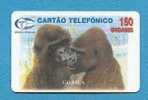 ( 512 ) - GORILLE  - (  Carte Téléphonique ANGOLA  ) - *** RARE ***  - Voir Scan - - Giungla