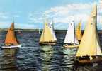 Regates - Sailing