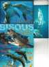 3 X Carte De Dauphin + 1 Requin - 3 Dolphin Postcard  +1 Shark - Dolphins