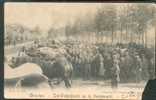 Thourout: Sint-Pietersfeeste Op De Peerdemarkt---Beestenmarkt - Torhout