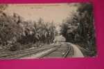 Ceylan -Sri Lanka: Chemin De Fer D´une Plantation à Colombo En 1915 - Zubehör