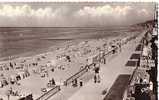 Cabourg - Vue Générale De La Plage - Cabourg