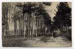 H4 - LA MOTTE-BEUVRON - Paysage De Sologne (carte Animée De 1924) - Lamotte Beuvron