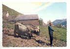 LES PYRENEES PAYSAGE DES HAUTES VALLEES - Attelages