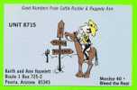 QSL - PEORIA,AZ. - UNIT 8715 - CATTLE RUSTLER & RAGGEDY ANN - WRITTEN IN 1978 - - Radio