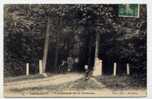 H24 - FORMERIE - Promenade De La Garenne (1909 - Carte Animée) - Formerie