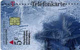 GERMANY - Transparent Card - P 07 04 - P & PD-Series : D. Telekom Till