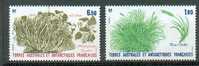 TAAF 33 - YT 125/126 ** - Unused Stamps