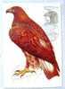 Carte Maximum - Monaco - Faune. Oiseaux Du Parc National Du Mercantour - Aigle Royal. - Maximum Cards